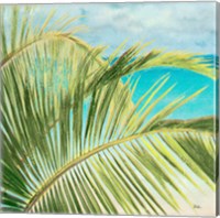 Bright Coconut Palm I Fine Art Print