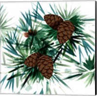Christmas Hinterland II Pine Cones Fine Art Print