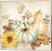 Watercolor Harvest Pumpkin II Fine Art Print