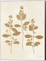 Botanical Study IV Gold Crop Fine Art Print