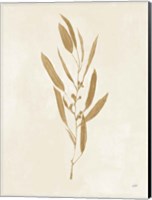 Botanical Study I Gold Crop Fine Art Print