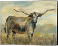 Longhorn Cow Fine Art Print