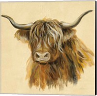 Highland Animal Cow Fine Art Print