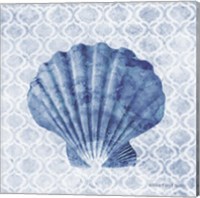 Seashell I Fine Art Print