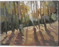 Backlit Woods Fine Art Print
