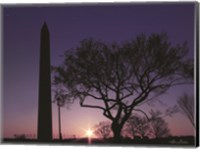 Nightfall at the Washington Monument Fine Art Print