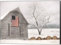 Old Glory Fine Art Print