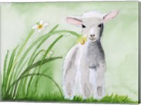 Baby Spring Animals IV Fine Art Print