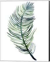 Watercolor Palm Leaves III Fine Art Print