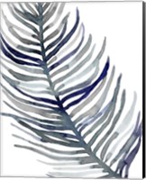 Blue Feathered Palm I Fine Art Print