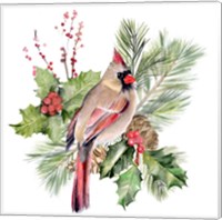 Cardinal Holly Christmas II Fine Art Print