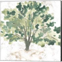 Country Tree I Fine Art Print