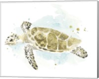 Watercolor Sea Turtle Study II Fine Art Print