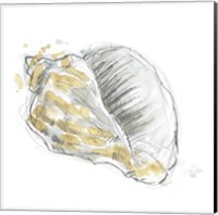 Citron Shell Sketch III Fine Art Print