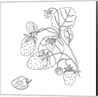 Wild Strawberries I Fine Art Print
