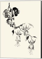 Ink Wash Floral VIII - Fuchsia Fine Art Print