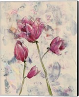 Rosa Blume I Fine Art Print
