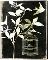 Branch & Bird I Fine Art Print