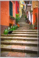 Europe, Italy, Monterosso Cat On Long Stairway Fine Art Print