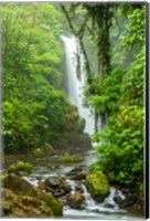 Costa Rica, La Paz Waterfall Garden Rainforest Waterfall And Stream Fine Art Print