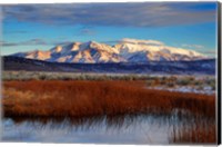 California White Mountains And Reeds In Pond Fine Art Print