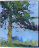 Gilfach Pine Fine Art Print