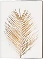 Palm Leaf Gold Fine Art Print