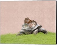 Tortoise on Pink Fine Art Print