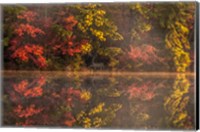 New Jersey, Belleplain State Fores,t Autumn Tree Reflections On Lake Fine Art Print