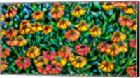 Oregon, Coos Bay Abstract Of Flower Garden Fine Art Print