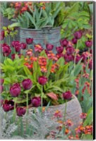 Colorful Planters At Entrance To Chanticleer Garden, Pennsylvania Fine Art Print