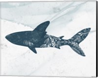 Shark Fine Art Print