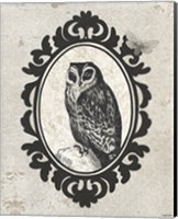 Celestial Owl Fine Art Print