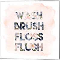 Wash, Brush, Floss, Flush Fine Art Print