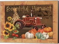 Bountiful Harvest IV Fine Art Print
