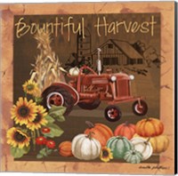 Bountiful Harvest V Fine Art Print