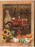 Bountiful Harvest VI Fine Art Print