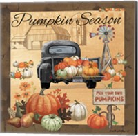 Pumpkin Season II Fine Art Print