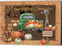 Pumpkin Season IV Fine Art Print