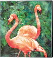 Flamingos Fine Art Print