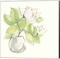 Plant Magnolia II Fine Art Print