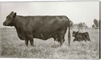 Cow and Baby Fine Art Print