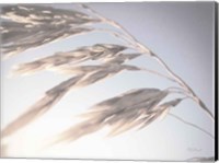 Windy Wheat Fields II Light Fine Art Print
