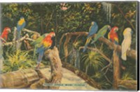Florida Postcard II Fine Art Print