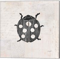 Ladybug Stamp BW Fine Art Print
