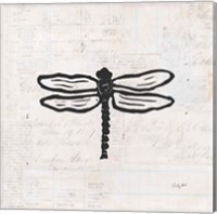 Dragonfly Stamp BW Fine Art Print