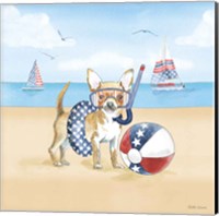 Summer Paws Patriotic II Fine Art Print