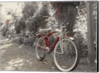 Garden Bike Red Fine Art Print