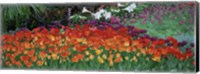 Close-Up Of Flowers In A Garden, Botanical Garden Of Buffalo, New York Fine Art Print