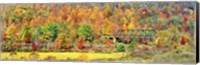 Cantilever Bridge And Autumnal Trees In Forest, Central Bridge, New York State Fine Art Print